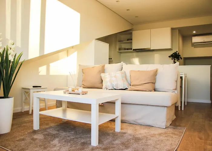 Terro Collection - Alcaide