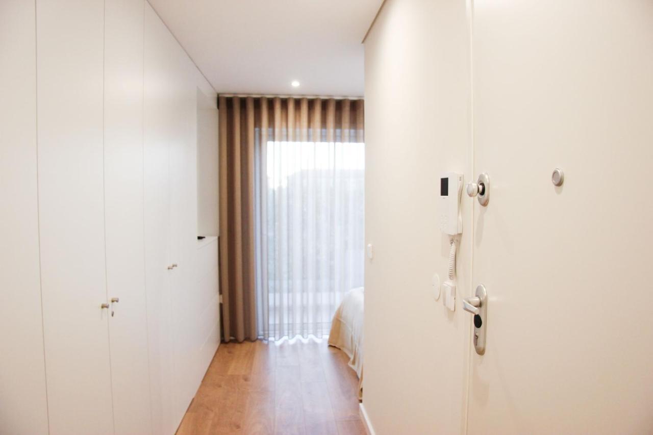 Terro Collection - Alcaide Braga